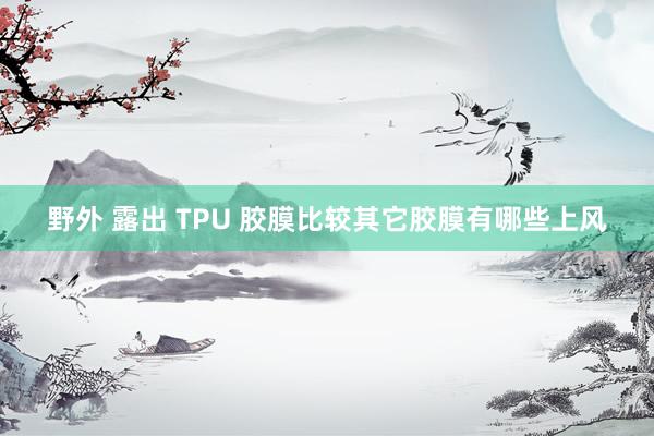 野外 露出 TPU 胶膜比较其它胶膜有哪些上风