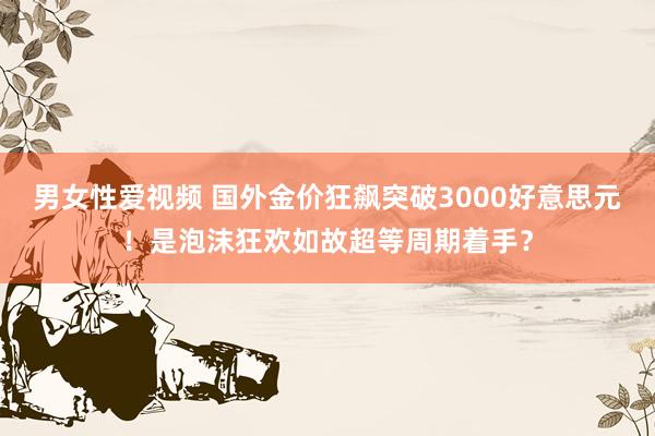 男女性爱视频 国外金价狂飙突破3000好意思元！是泡沫狂欢如故超等周期着手？