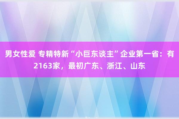 男女性爱 专精特新“小巨东谈主”企业第一省：有2163家，最初广东、浙江、山东