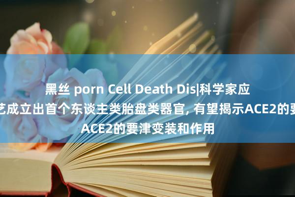 黑丝 porn Cell Death Dis|科学家应用基因裁剪技艺成立出首个东谈主类胎盘类器官， 有望揭示ACE2的要津变装和作用