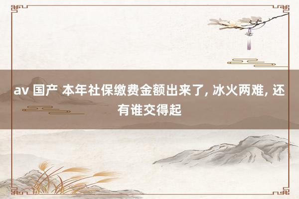 av 国产 本年社保缴费金额出来了， 冰火两难， 还有谁交得起