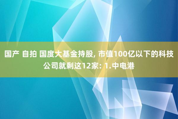 国产 自拍 国度大基金持股， 市值100亿以下的科技公司就剩这12家: 1.中电港