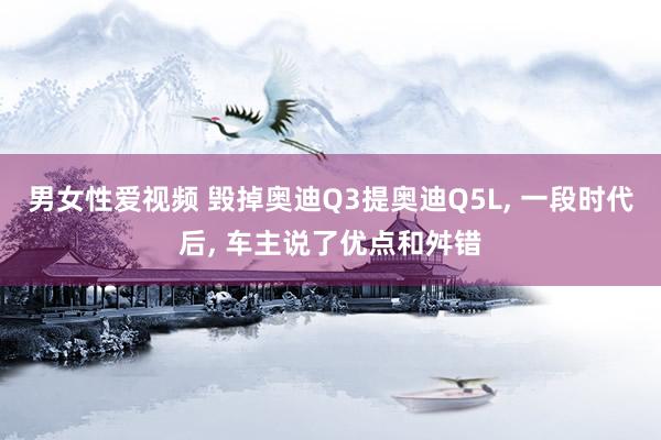 男女性爱视频 毁掉奥迪Q3提奥迪Q5L， 一段时代后， 车主说了优点和舛错